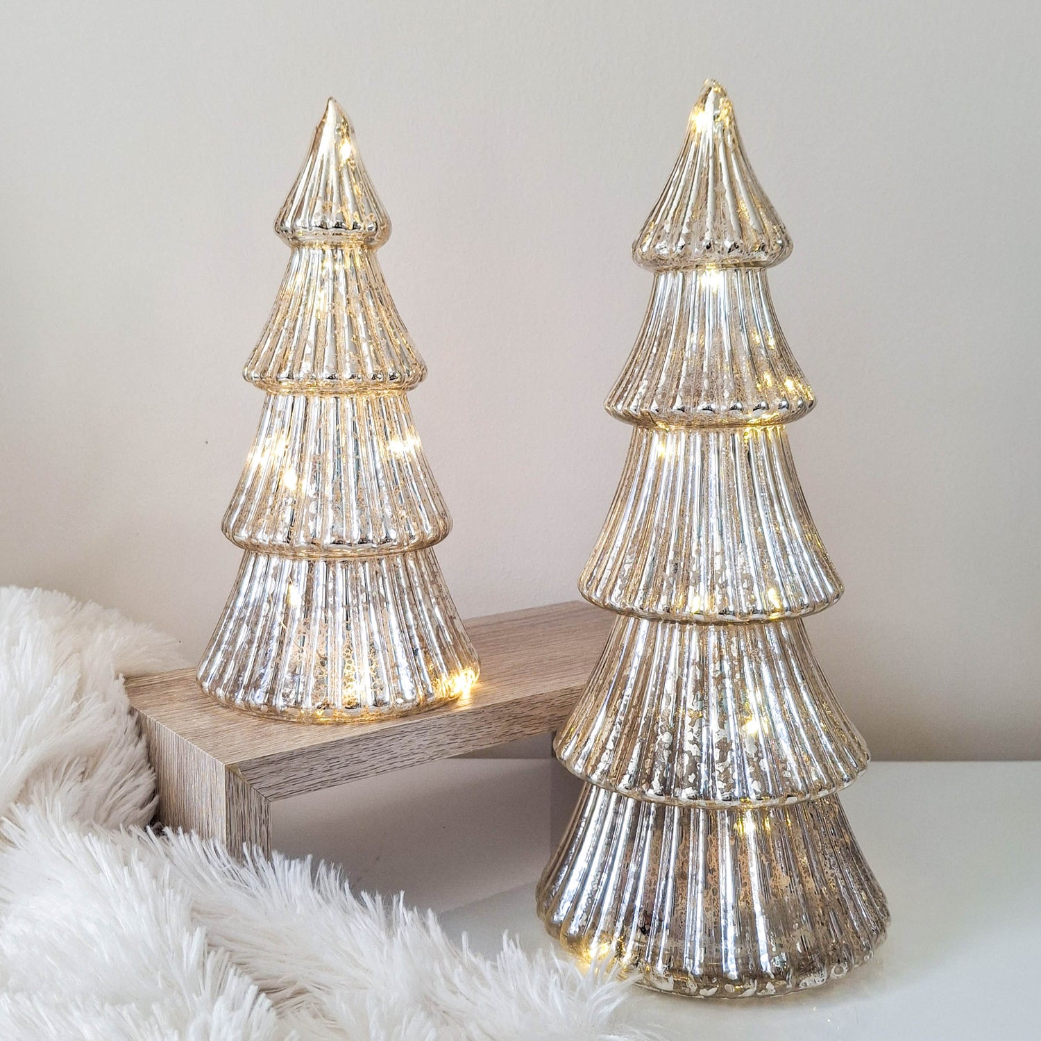 Christmas & Winter