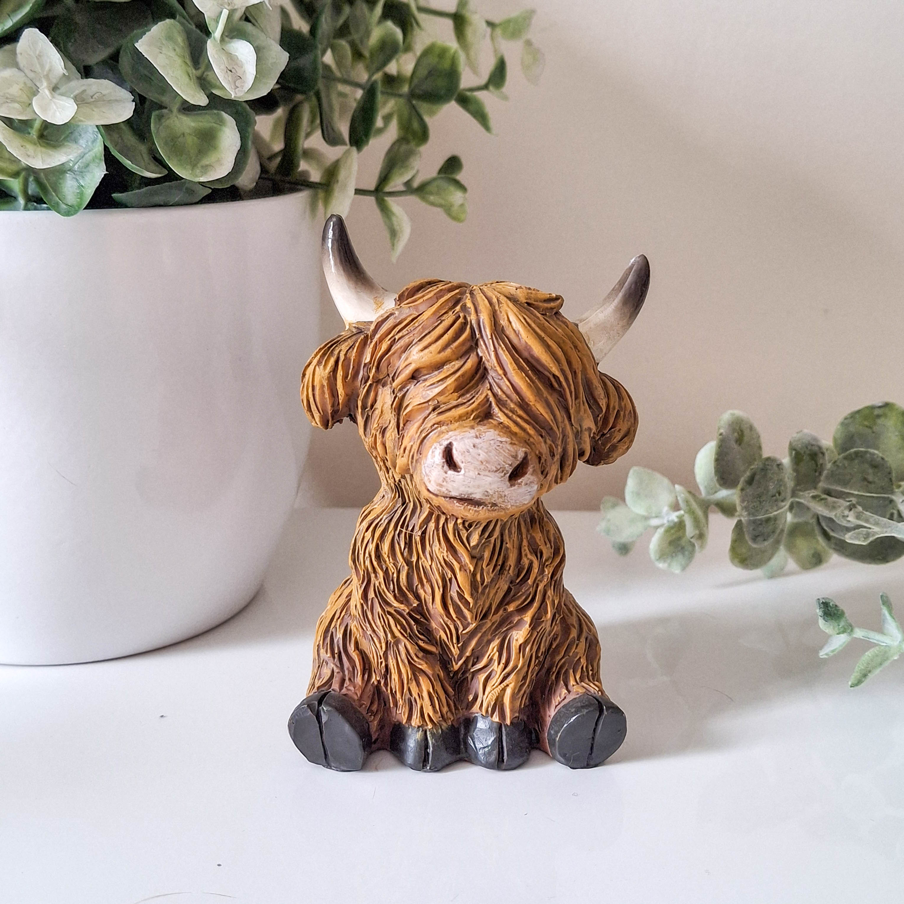 Small Happy Highland Coo Sitting