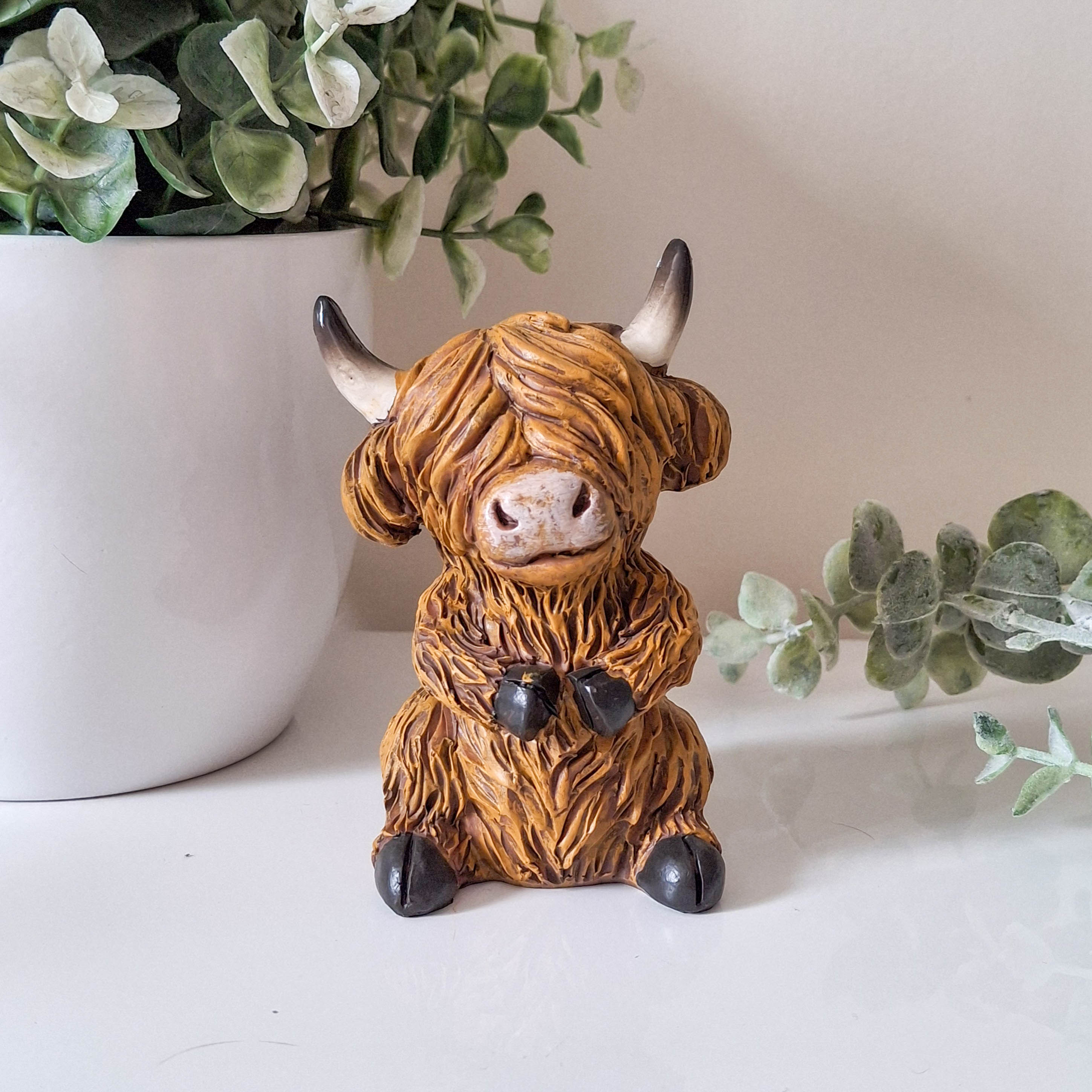 Small Happy Highland Coo Sitting