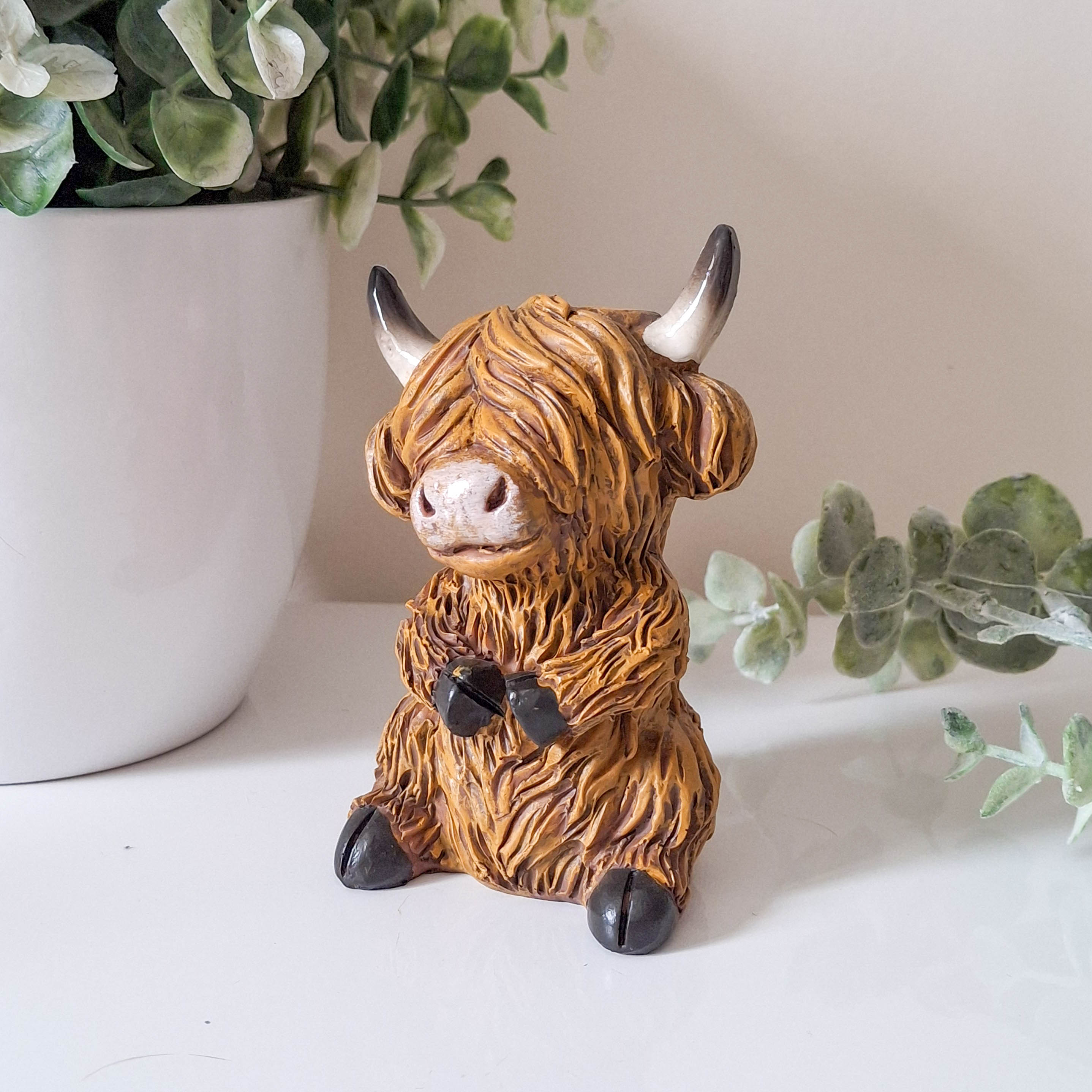 Small Happy Highland Coo Sitting
