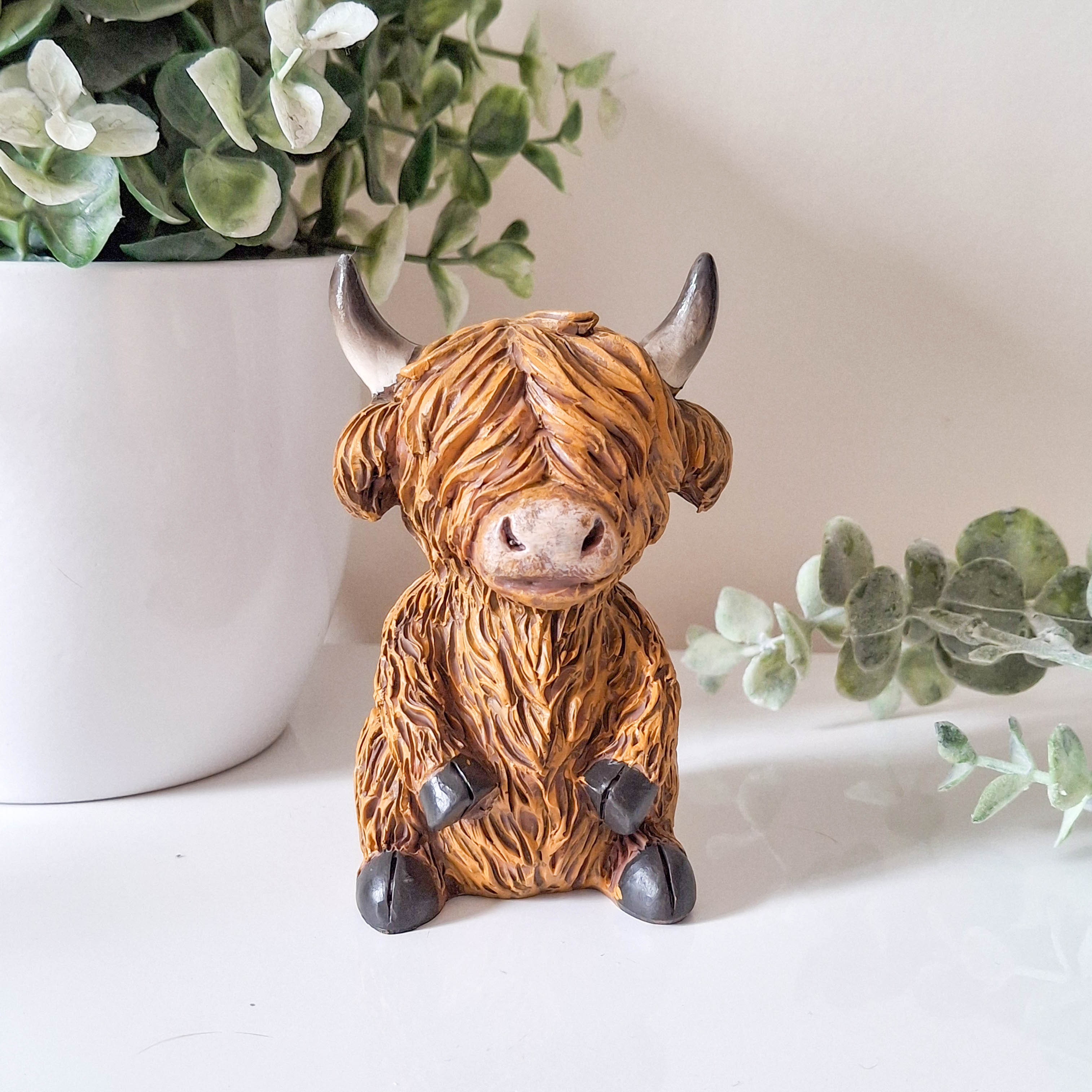 Small Happy Highland Coo Sitting