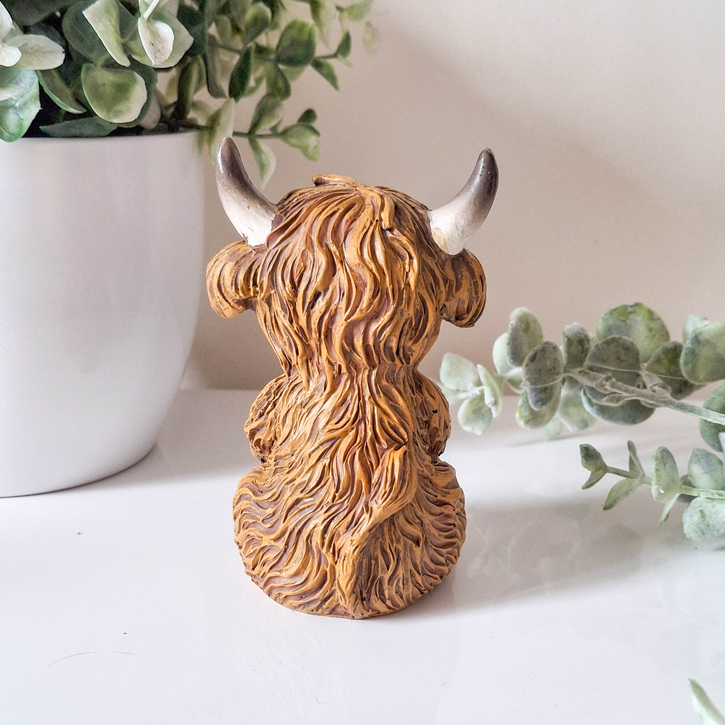Small Happy Highland Coo Sitting