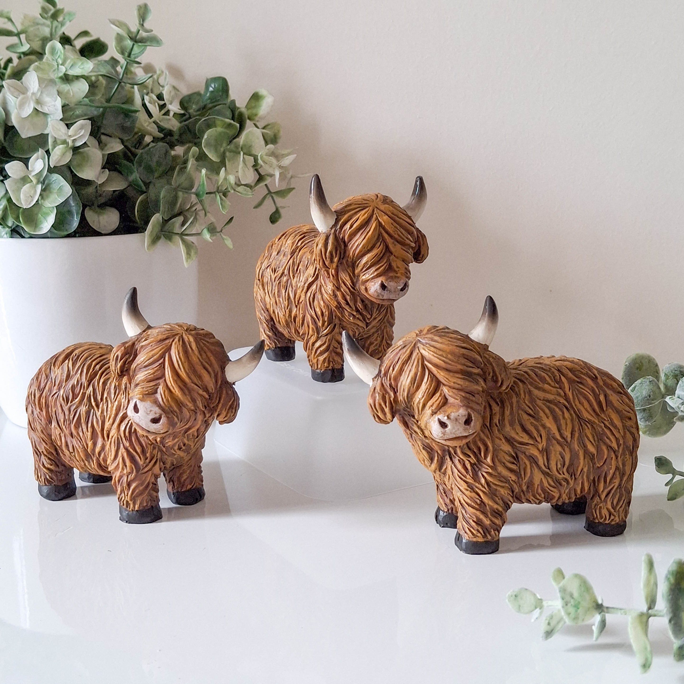Small Happy Highland Coo Standing