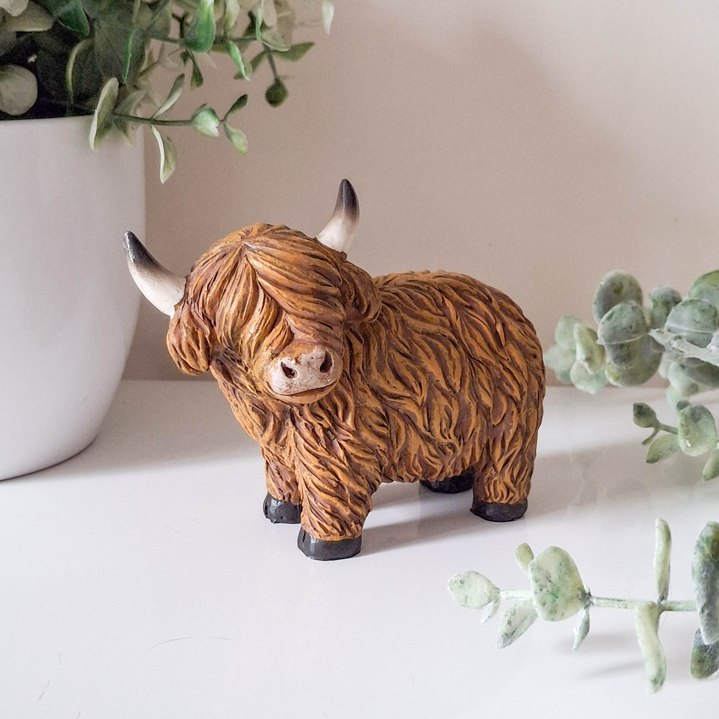 Small Happy Highland Coo Standing
