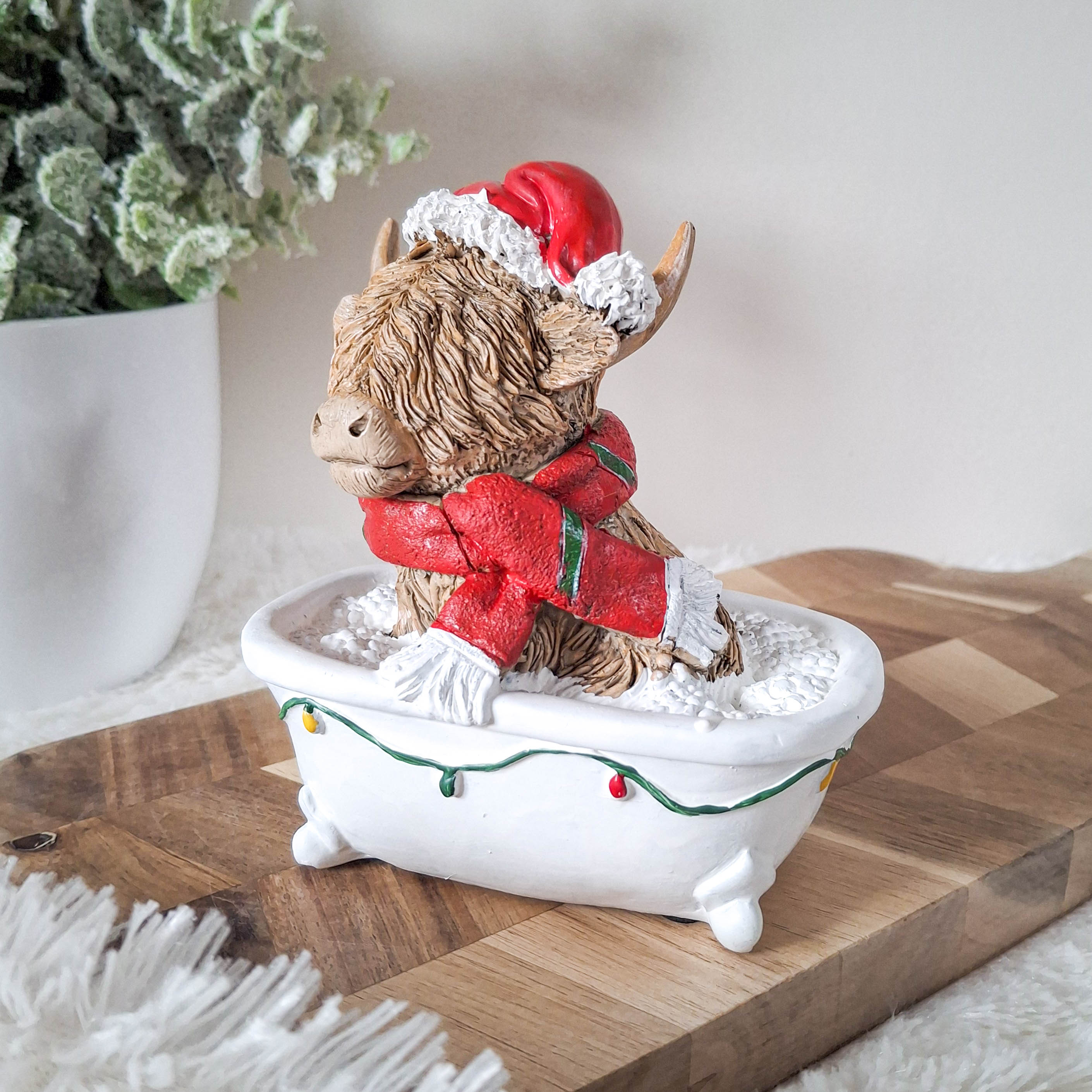 Christmas Highland Cow in Bath
