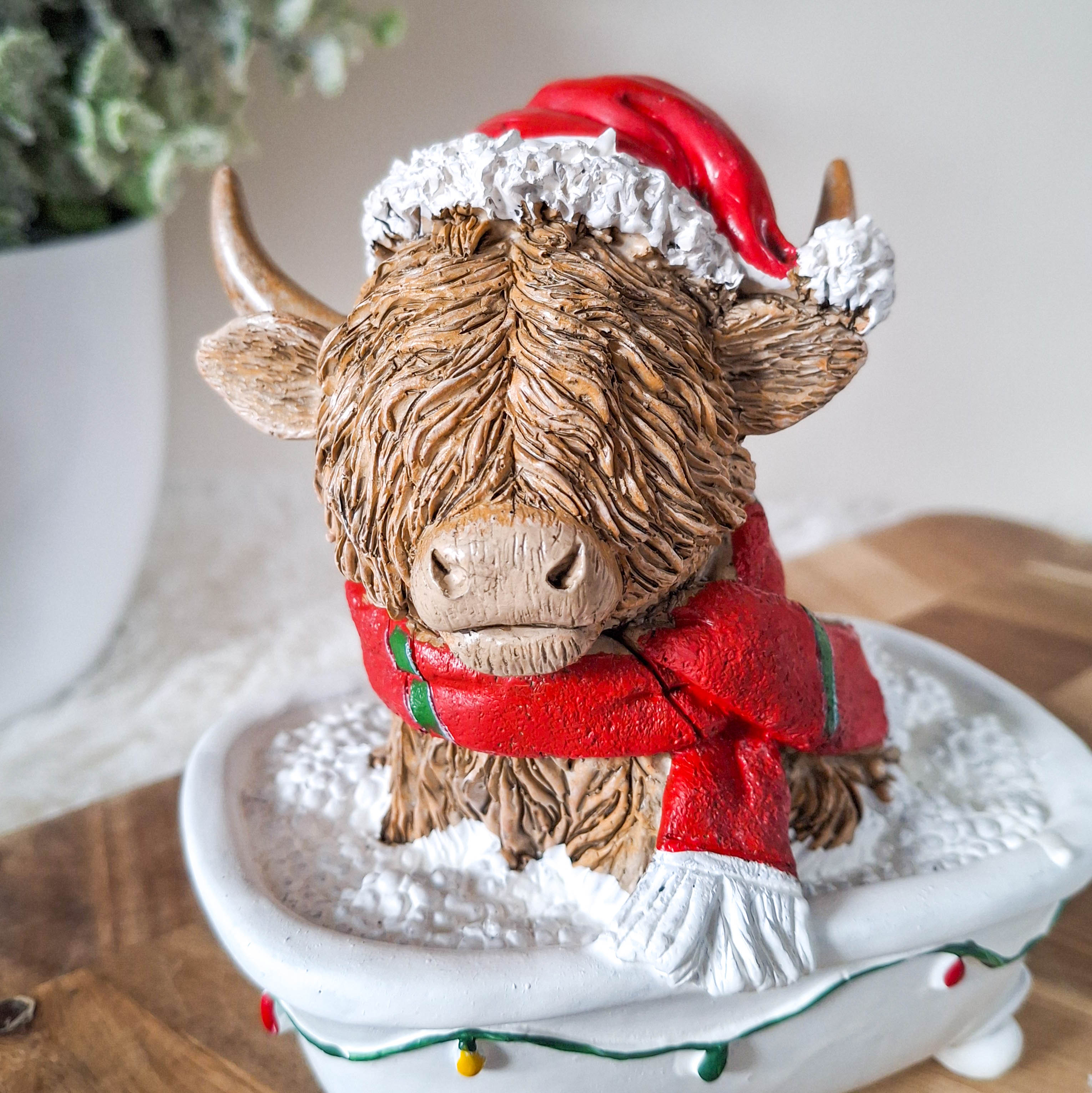 Christmas Highland Cow in Bath