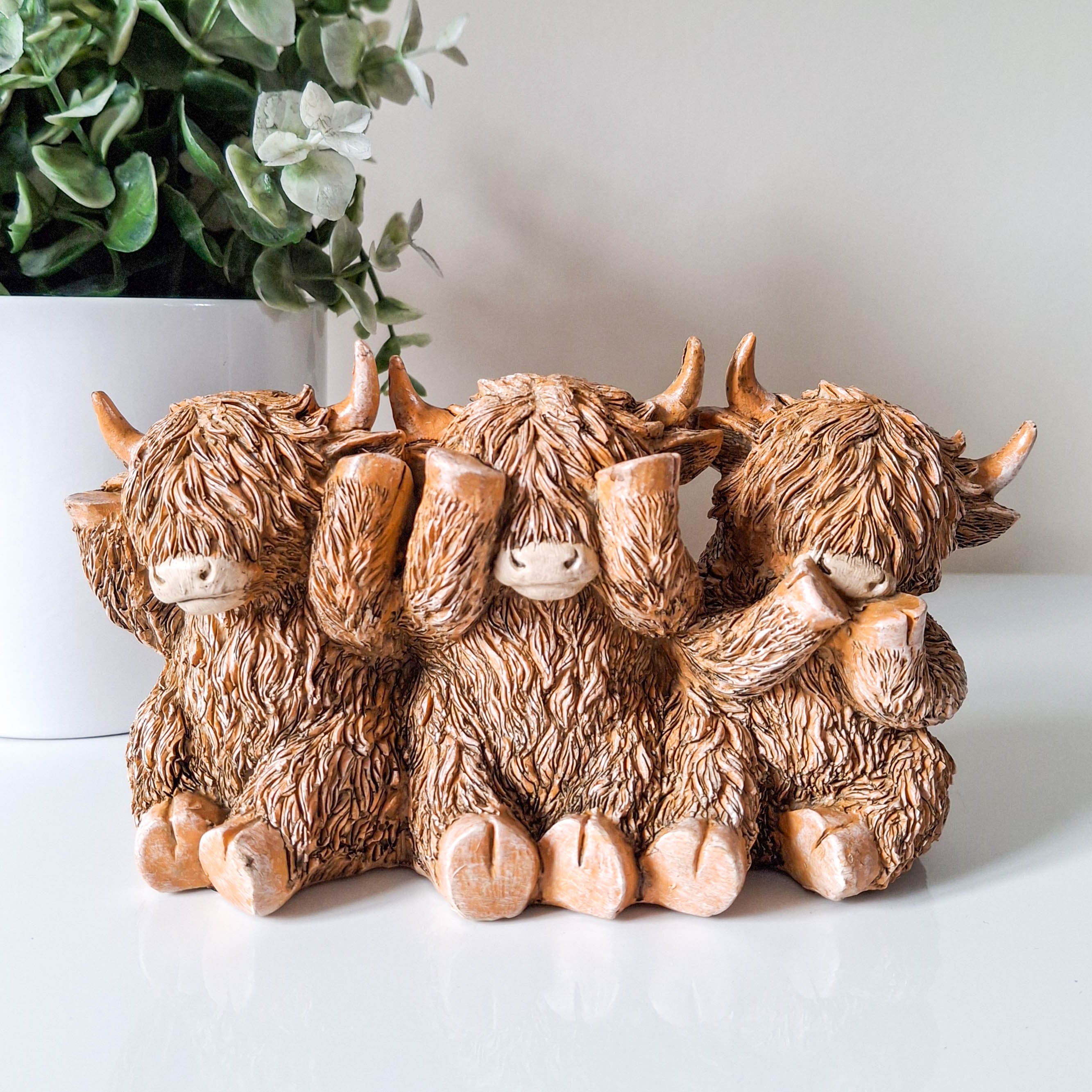 Three Wise Cows Highland Cow Trio