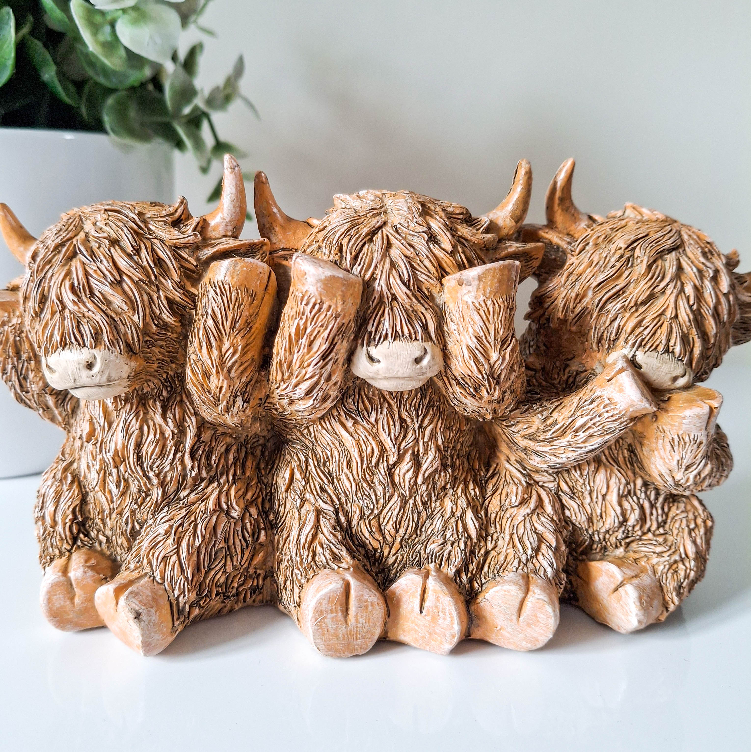 Three Wise Cows Highland Cow Trio