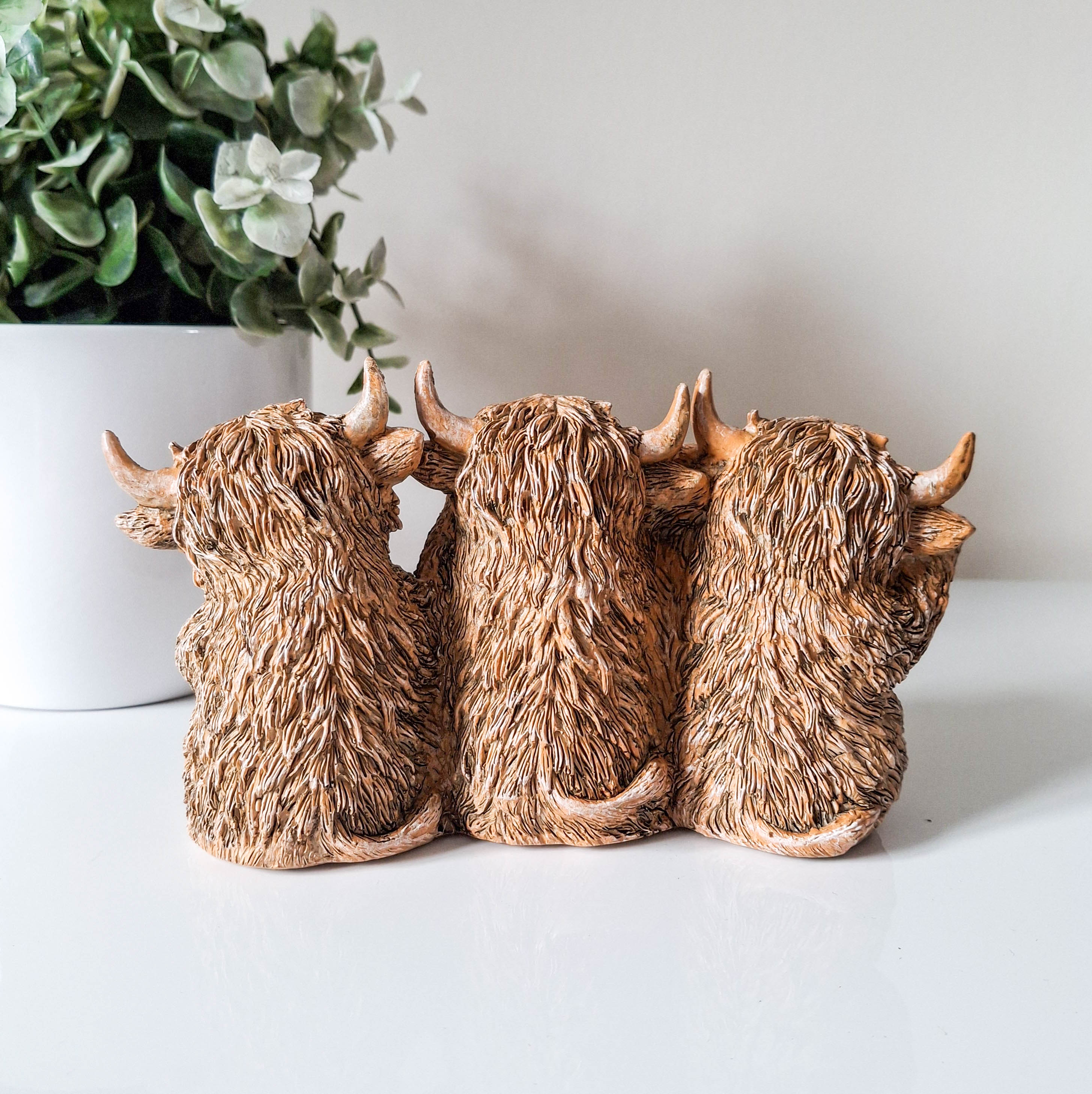 Three Wise Cows Highland Cow Trio