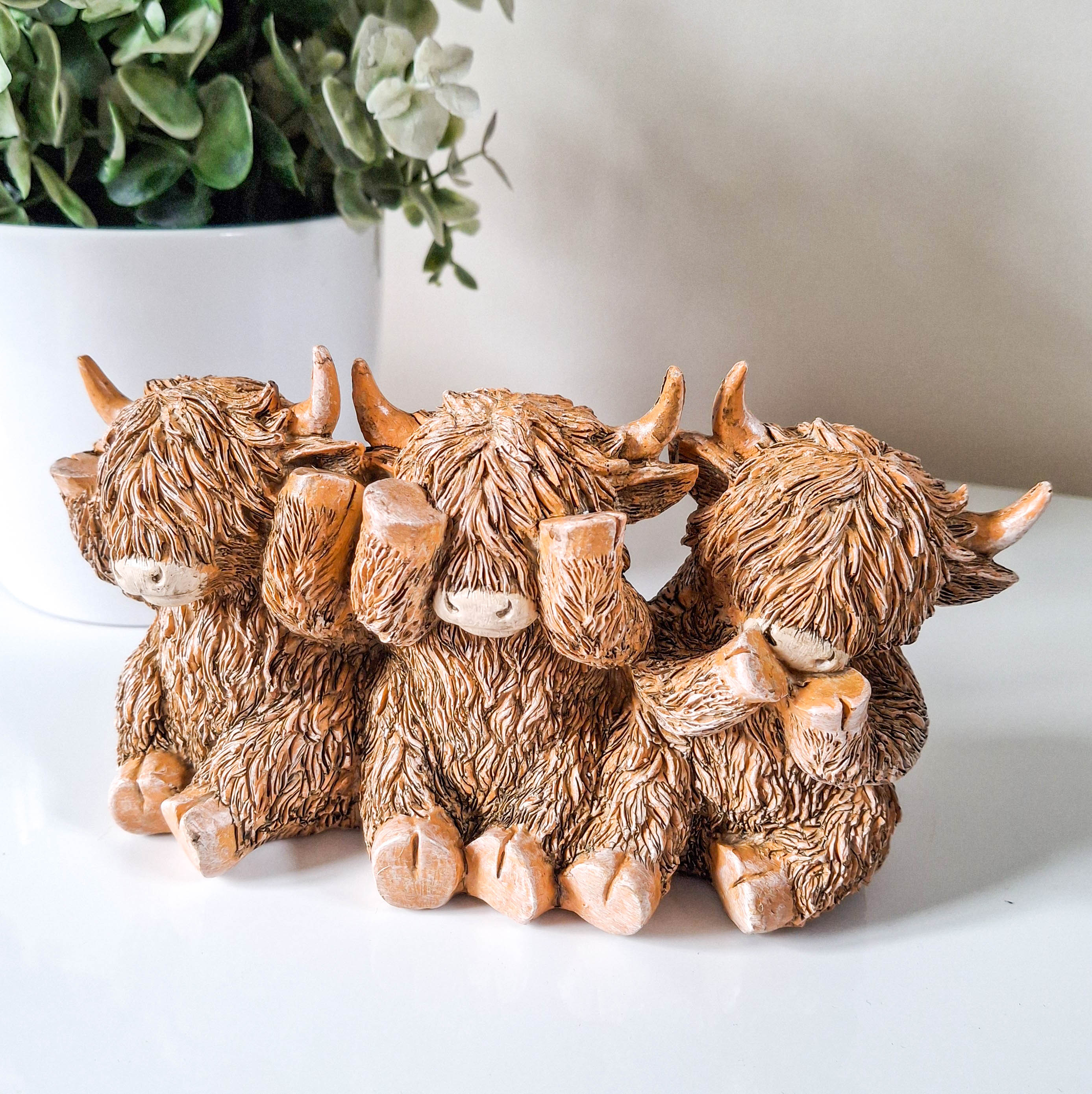 Three Wise Cows Highland Cow Trio