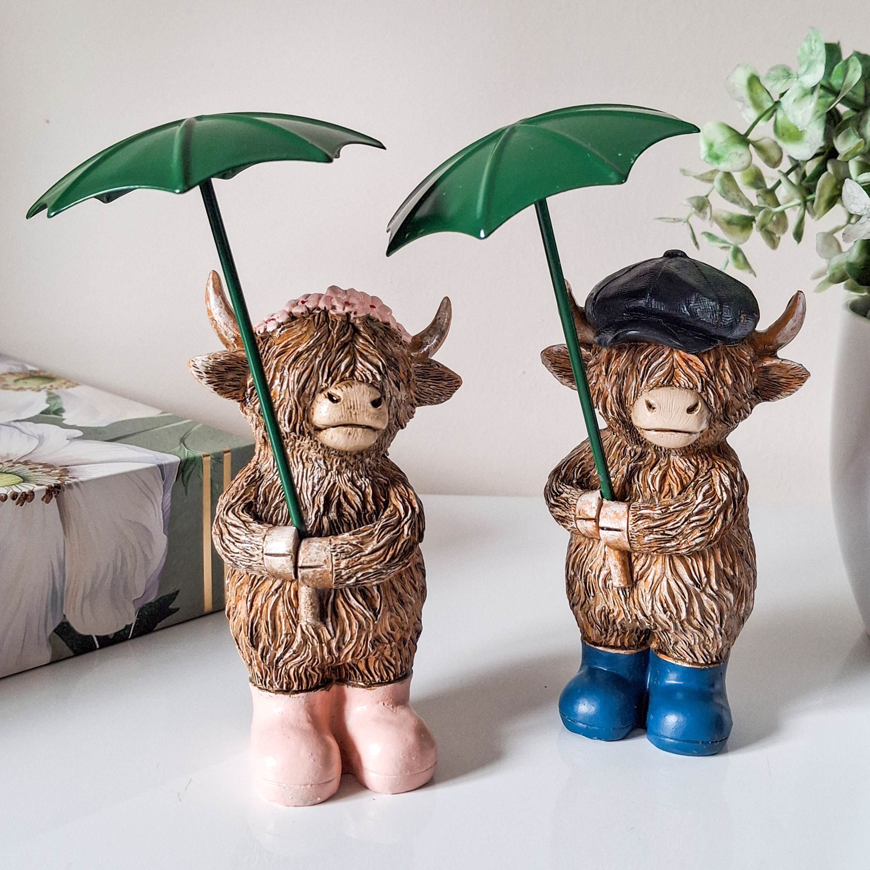 Rainy Days Boy Highland Cow