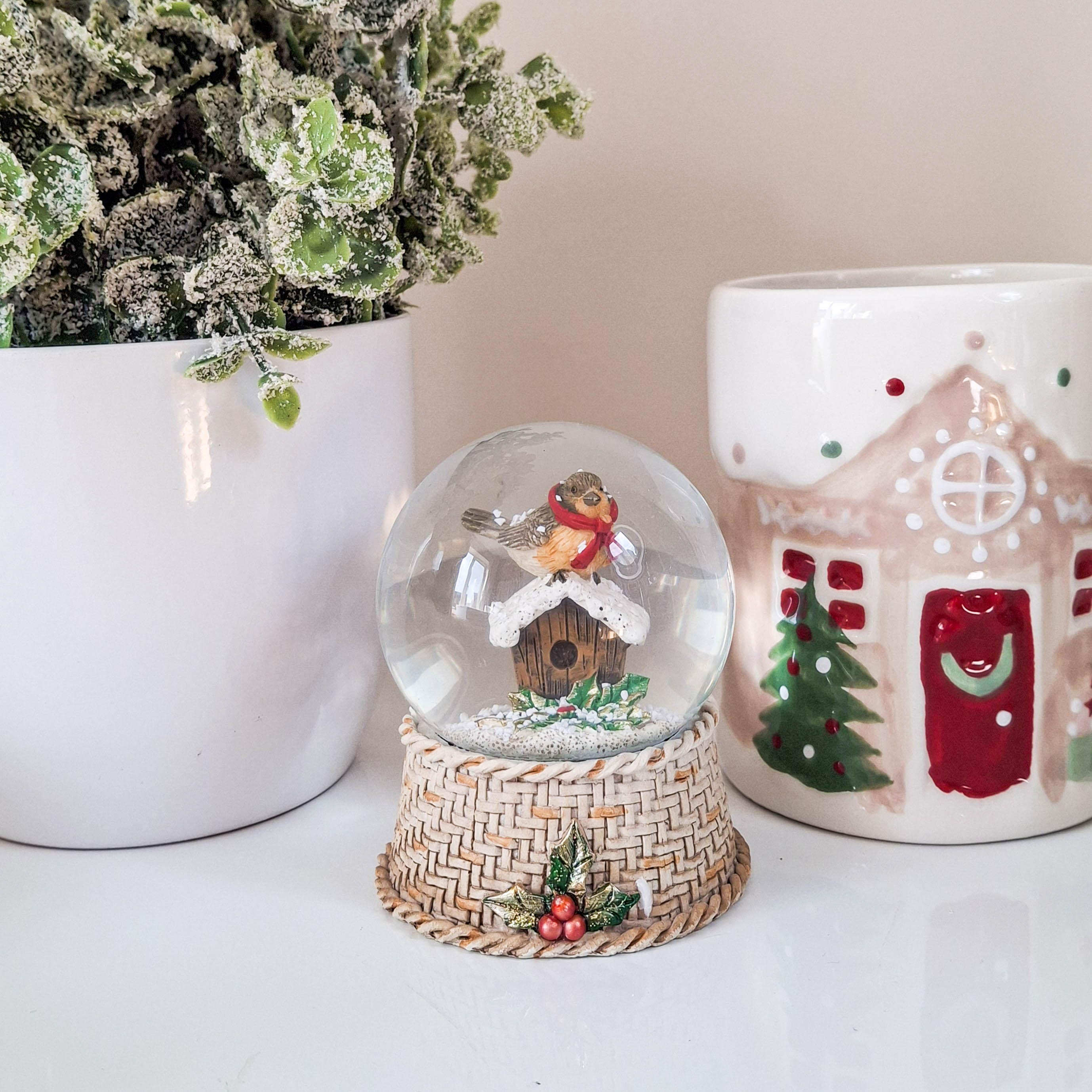 Robin on Birdhouse Snow Globe