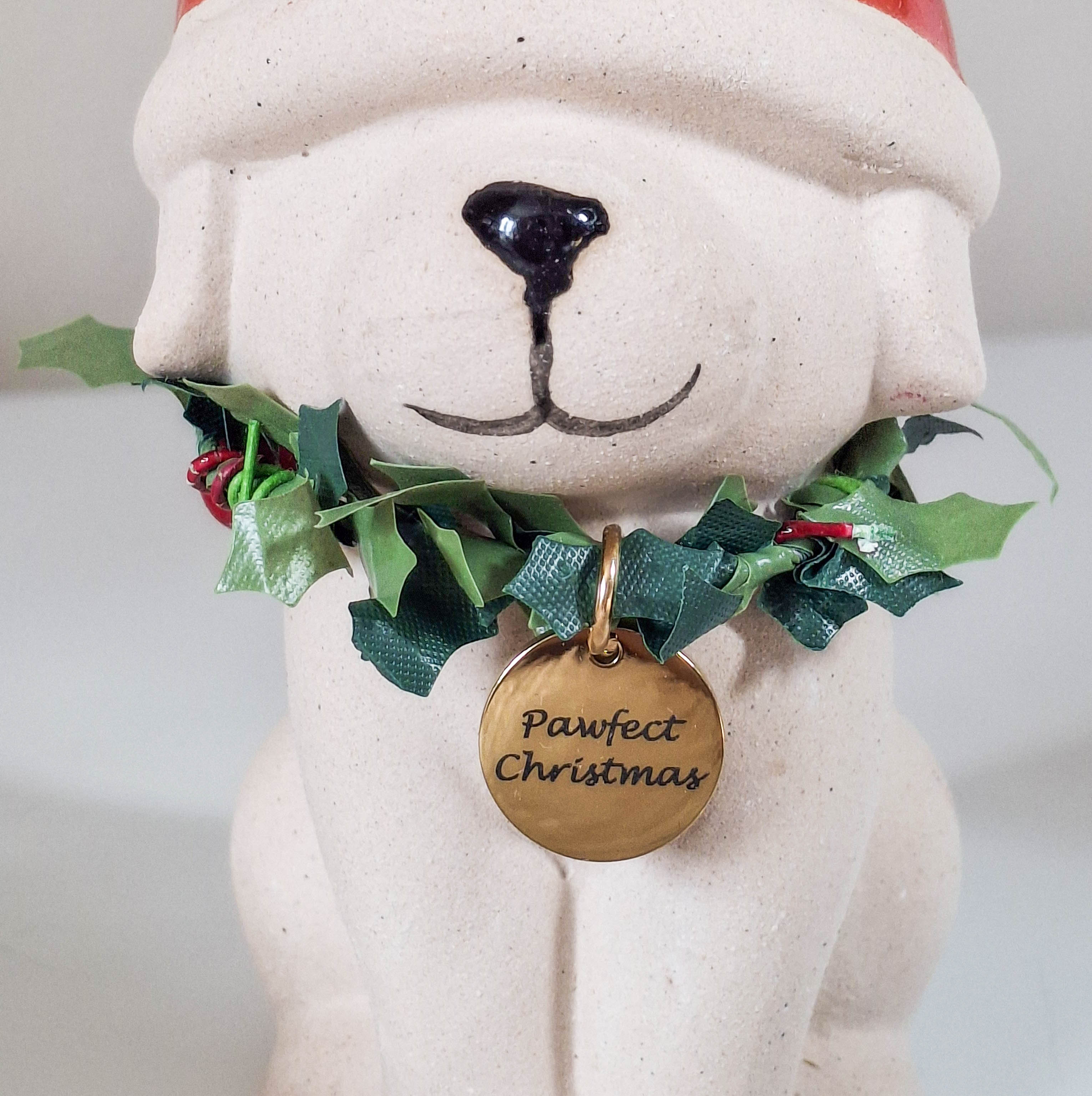 Dog in Red Christmas Hat