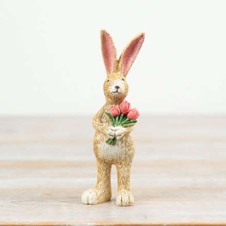 Jasper Rabbit with Tulips