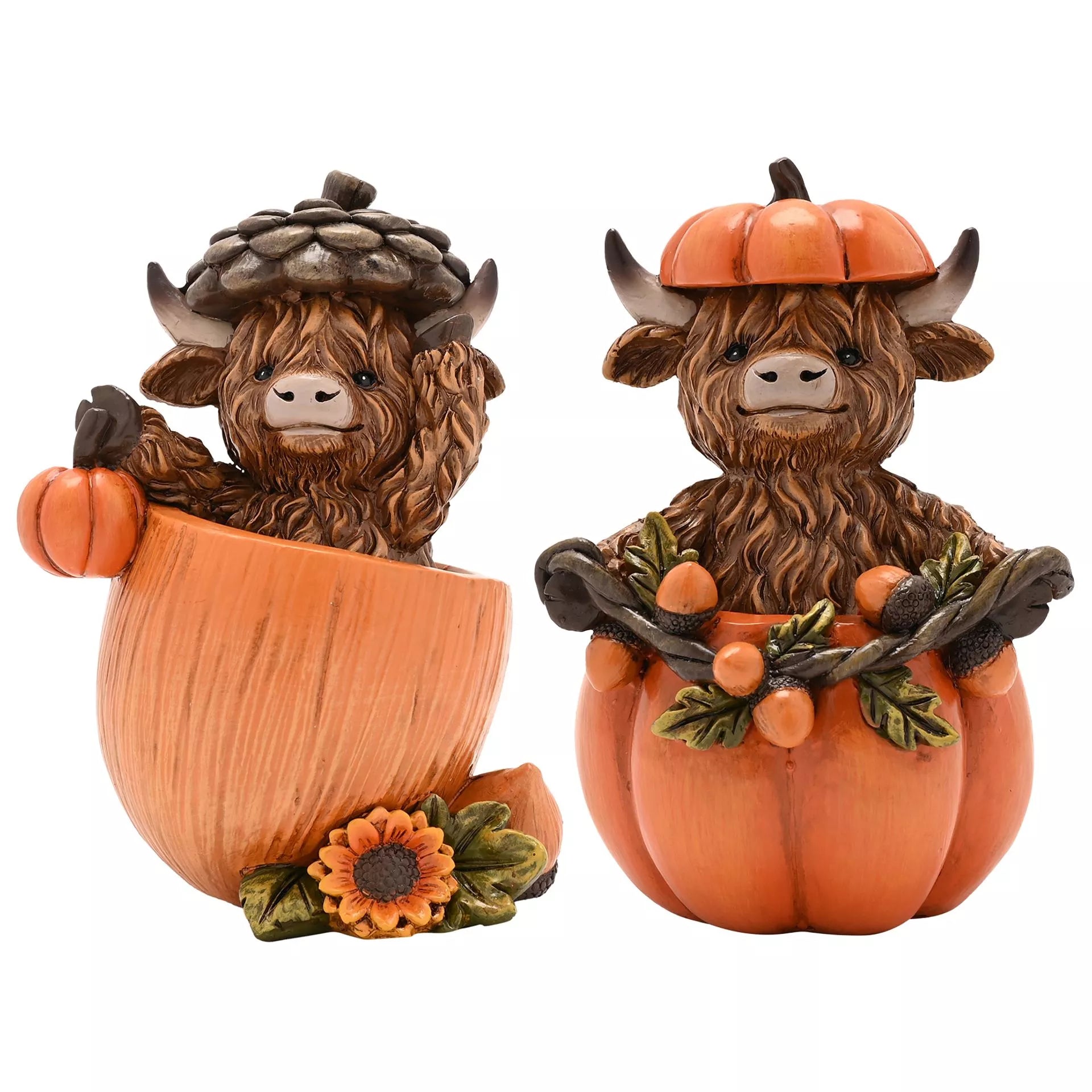BACK OCT Highland Cow In Pumpkin or Acorn