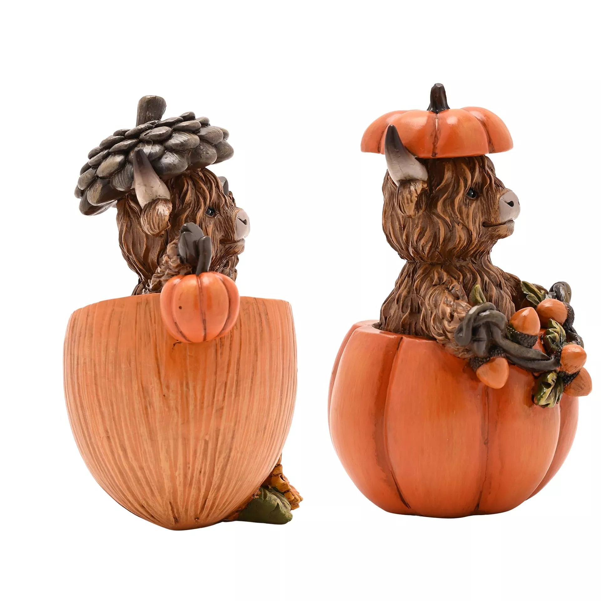 BACK OCT Highland Cow In Pumpkin or Acorn