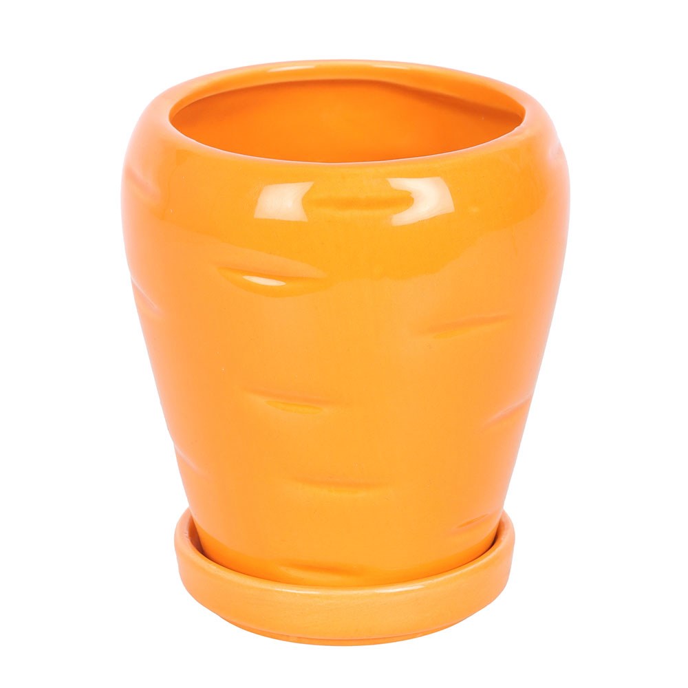 Carrot Patch Plant Pot with Parsley Seed Balls