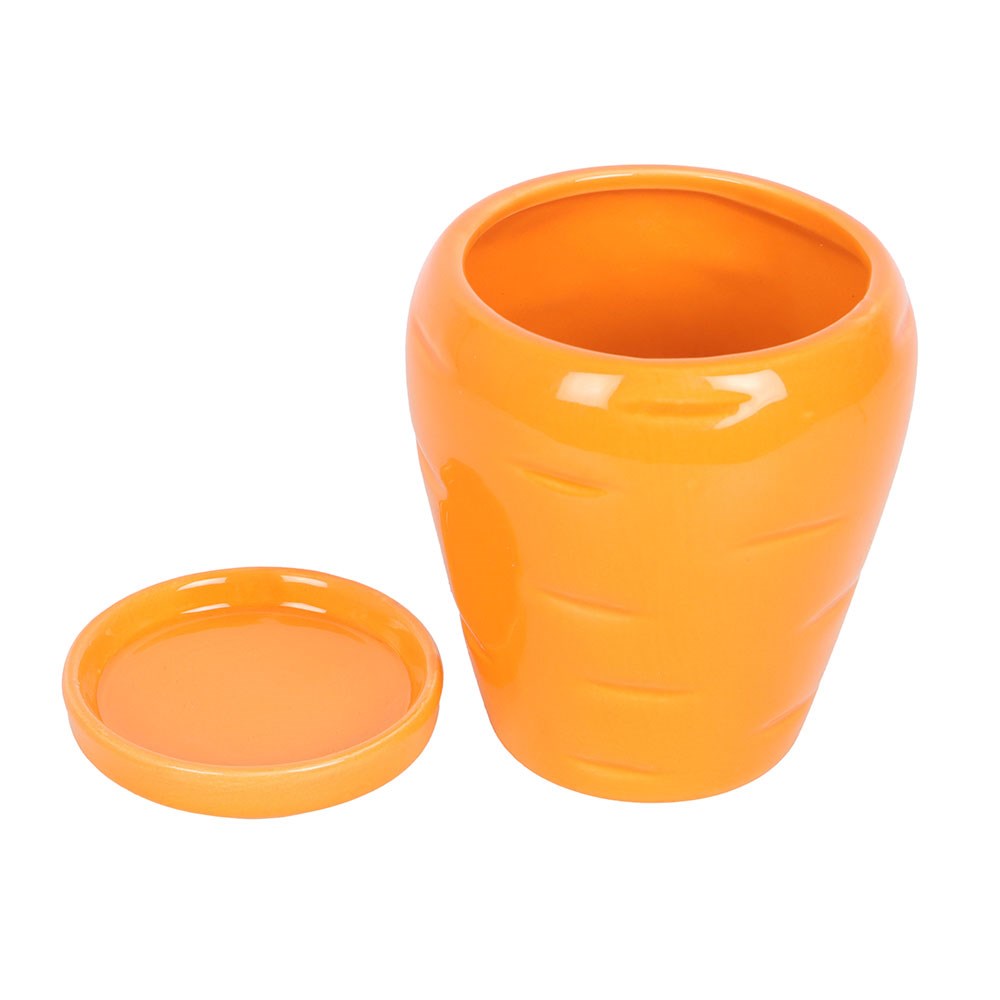 Carrot Patch Plant Pot with Parsley Seed Balls