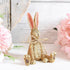 Henry Sitting Rabbit - Picture Perfect Interiors