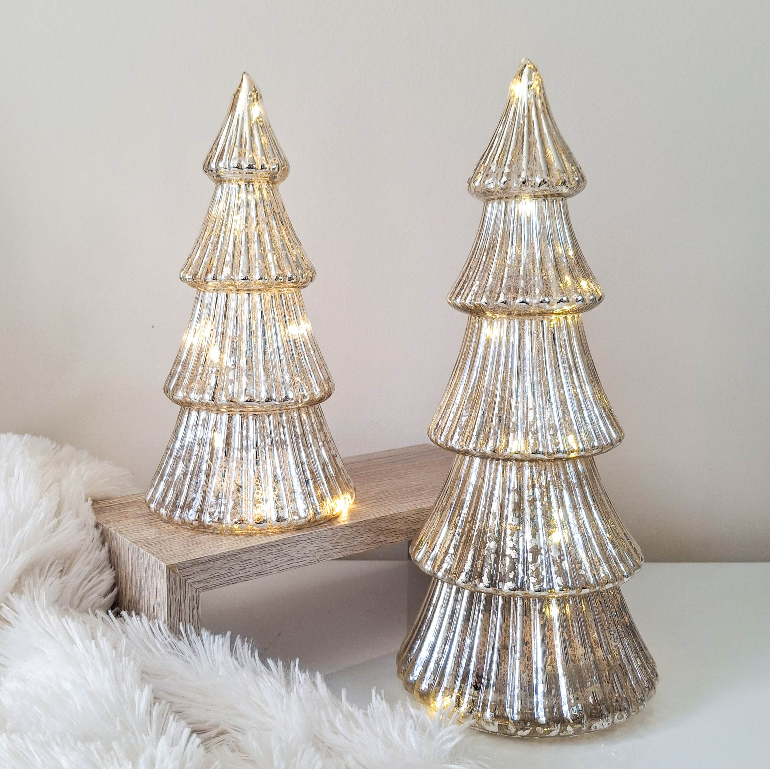 Christmas & Winter