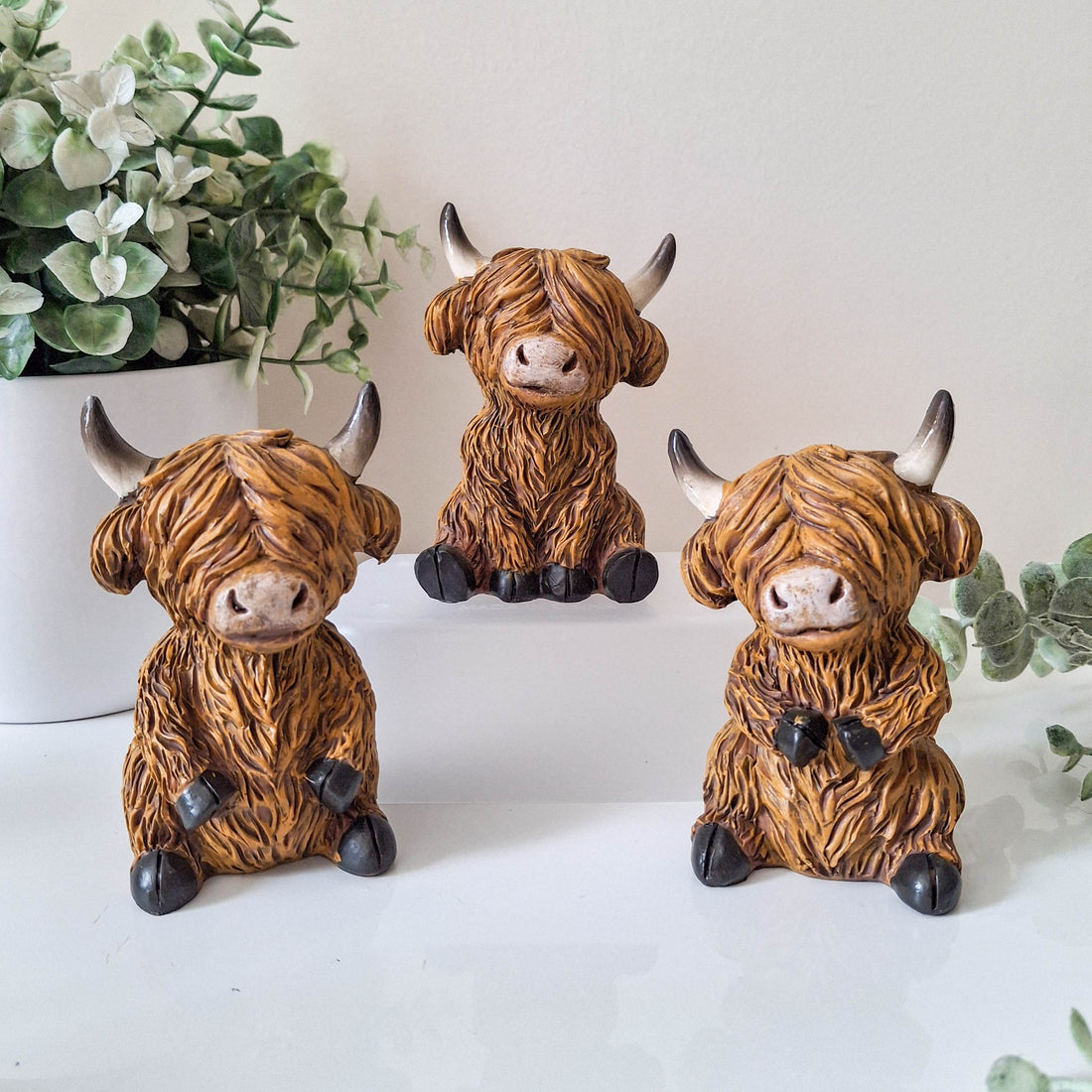 Small Happy Highland Coo Sitting