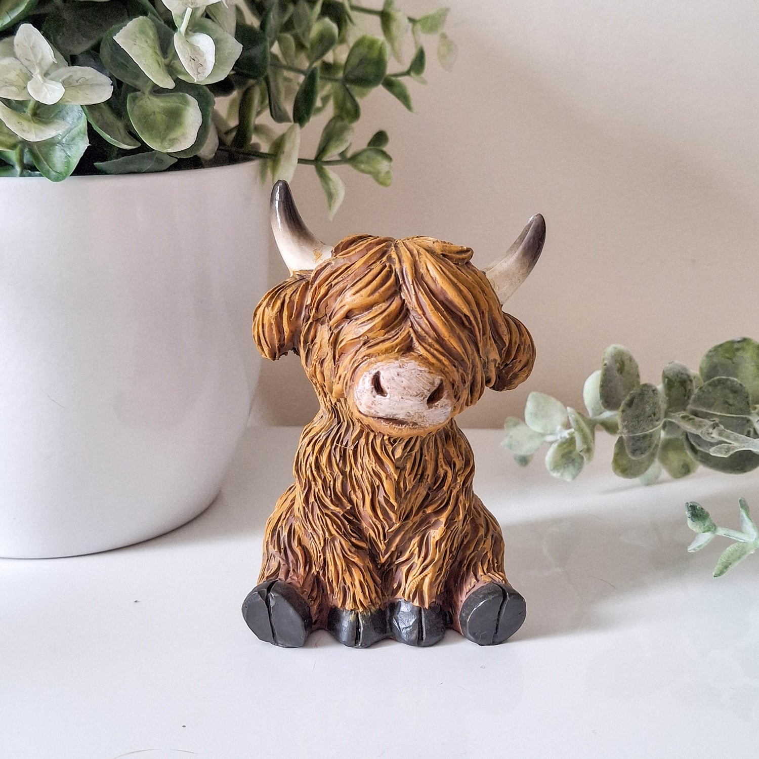 Small Happy Highland Coo Sitting