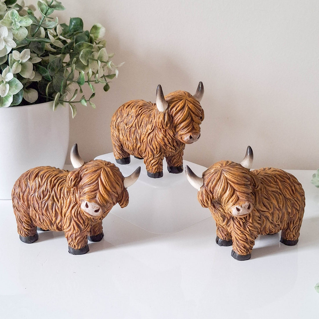 Small Happy Highland Coo Standing
