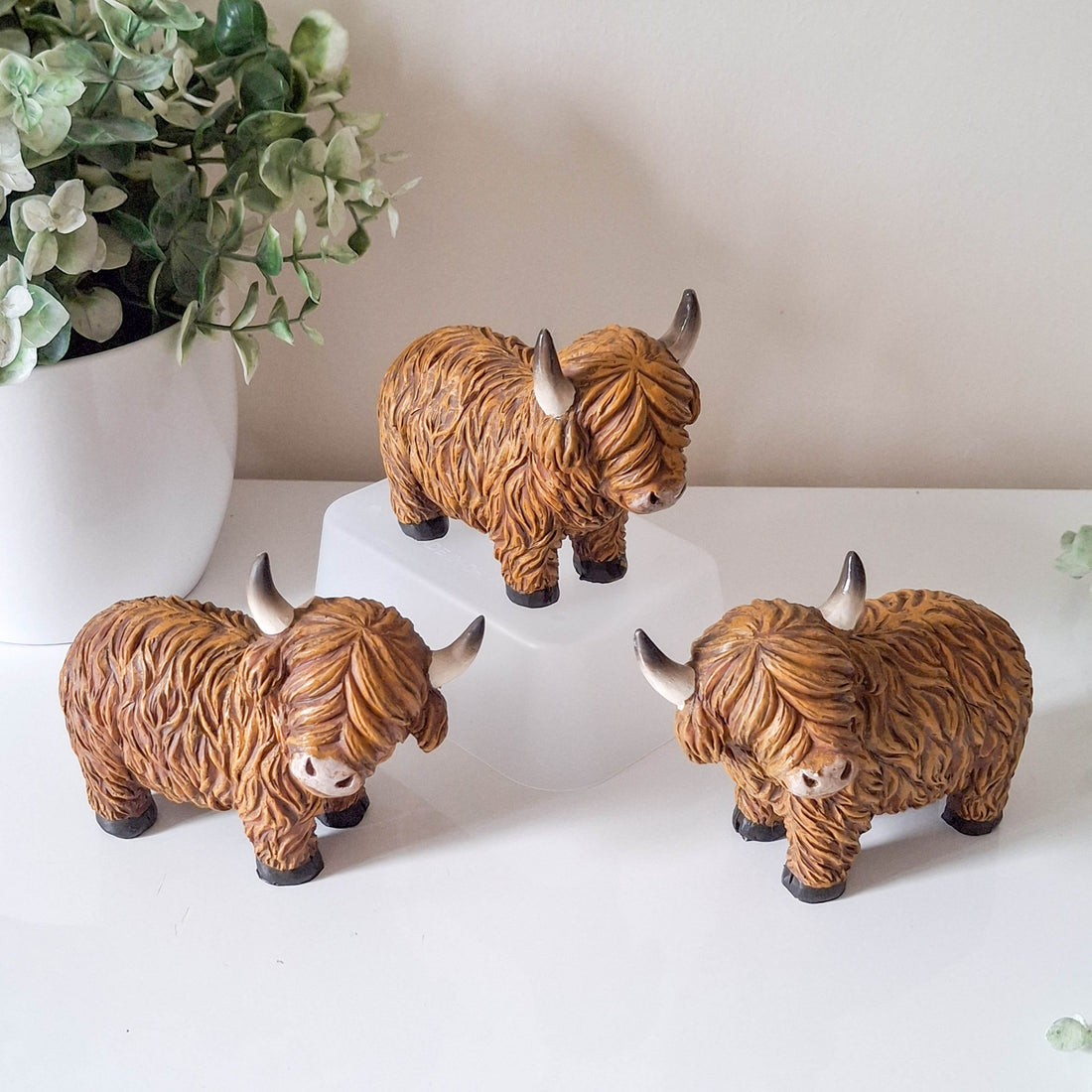 Small Happy Highland Coo Standing