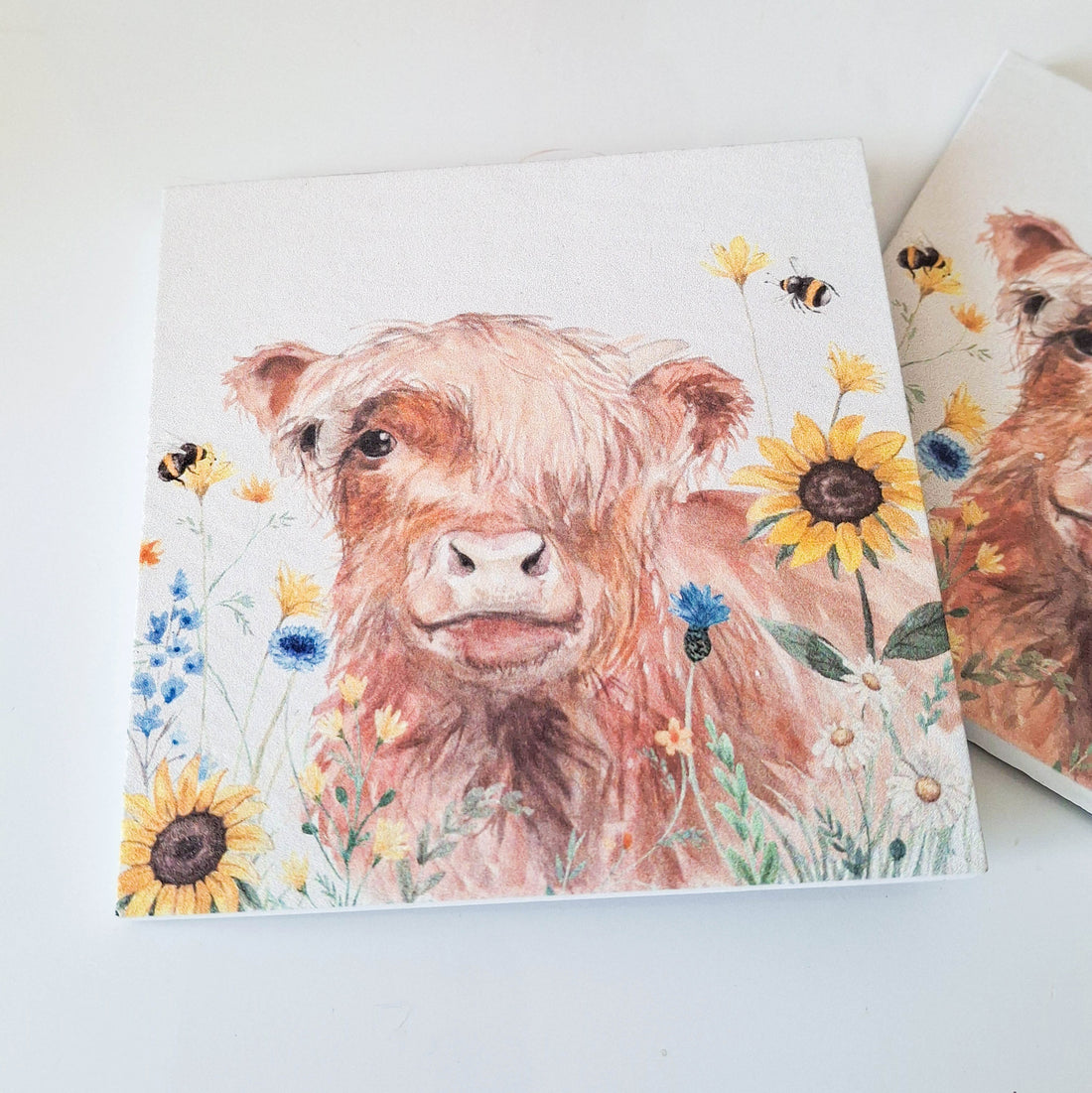 Floral Highland Cow Coasters Set of 2