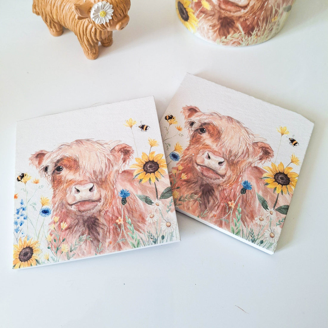 Floral Highland Cow Coasters Set of 2