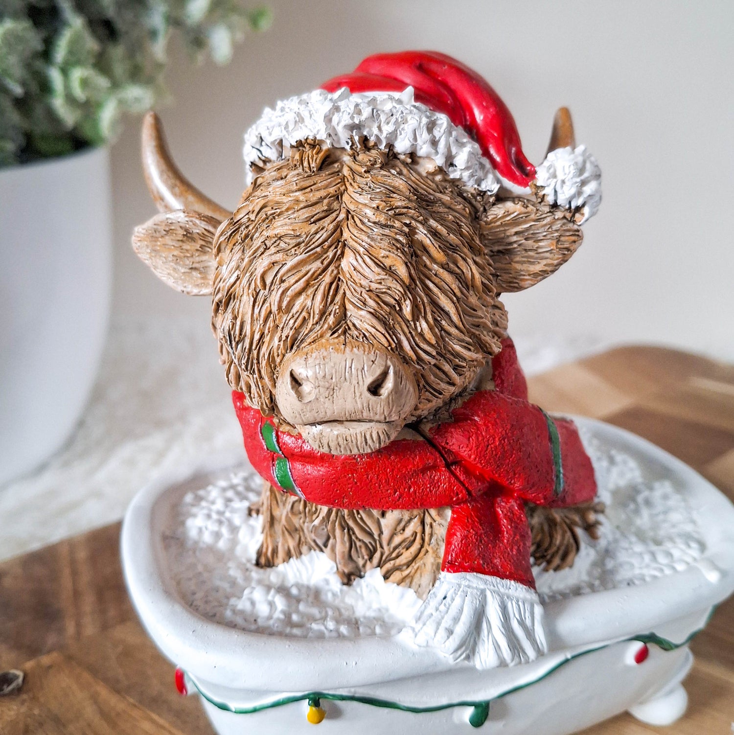Christmas Highland Cow in Bath