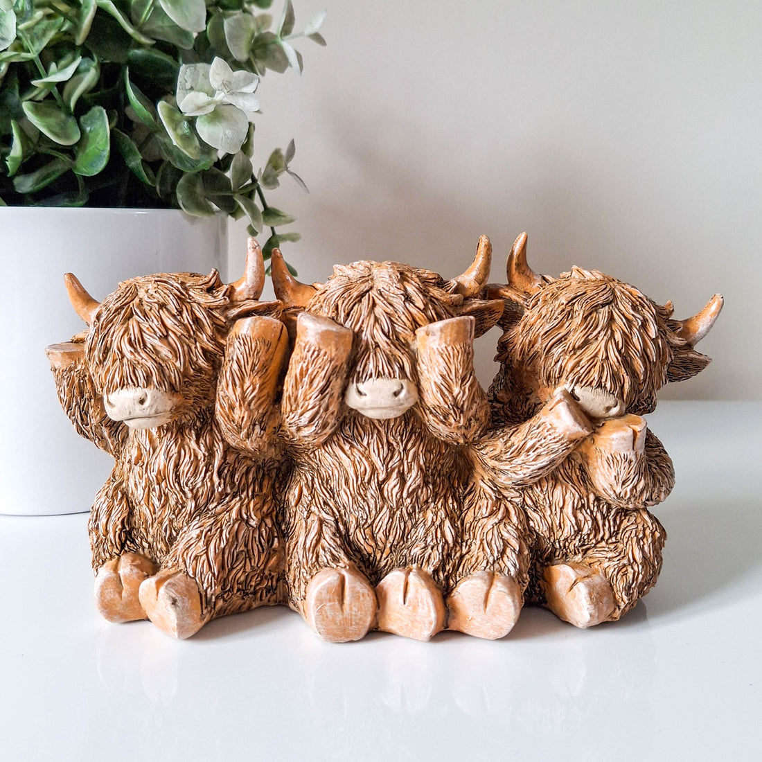 Three Wise Cows Highland Cow Trio