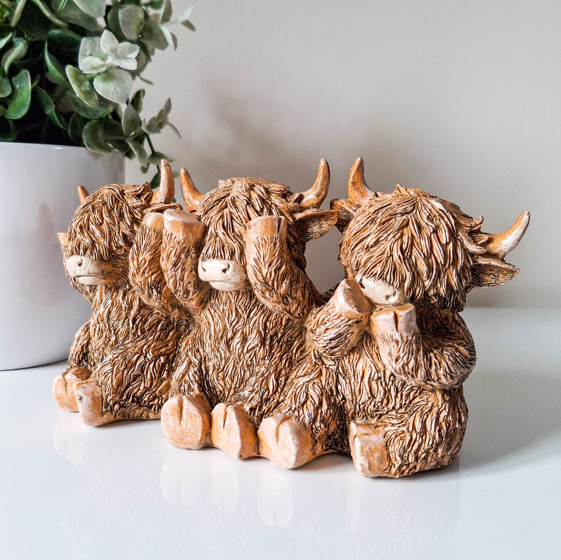 Three Wise Cows Highland Cow Trio