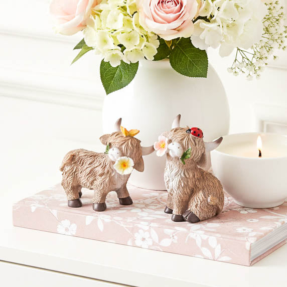 Standing Highland Cow with Flower