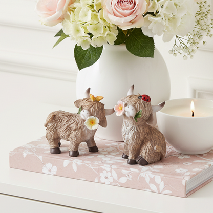 Sitting Highland Cow with Flower