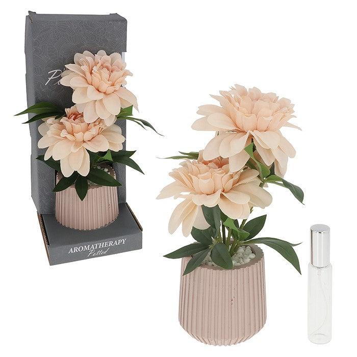 Faux Peach Dahlia Room Scent Blooms