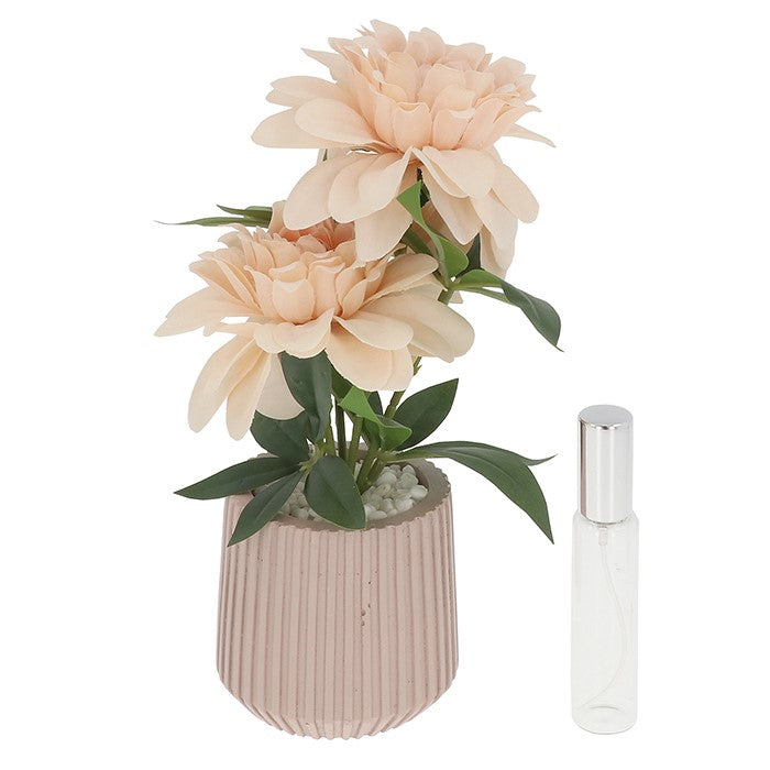 Faux Peach Dahlia Room Scent Blooms