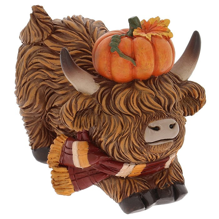 Small Autumn Highland Cow