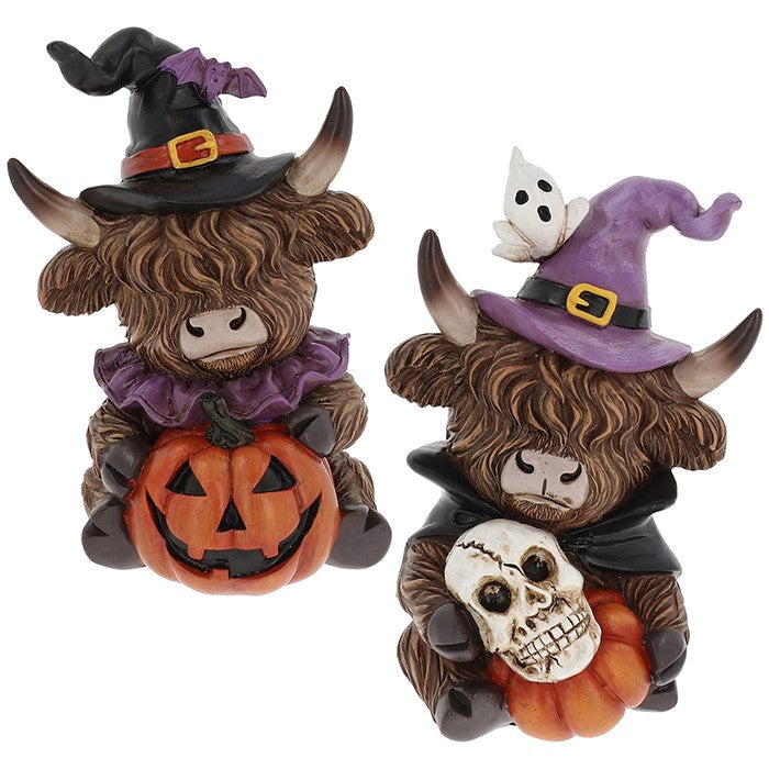 Halloween Witch Highland Cow