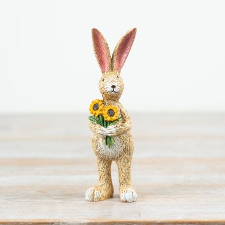 Jasper Rabbit with Sunflowers