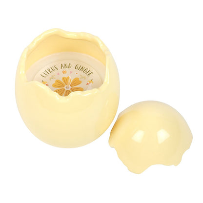 Citrus &amp; Ginger Yellow Egg Shaped Candle