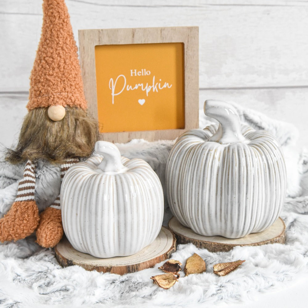 Natural Ribbed Ceramic Pumpkin