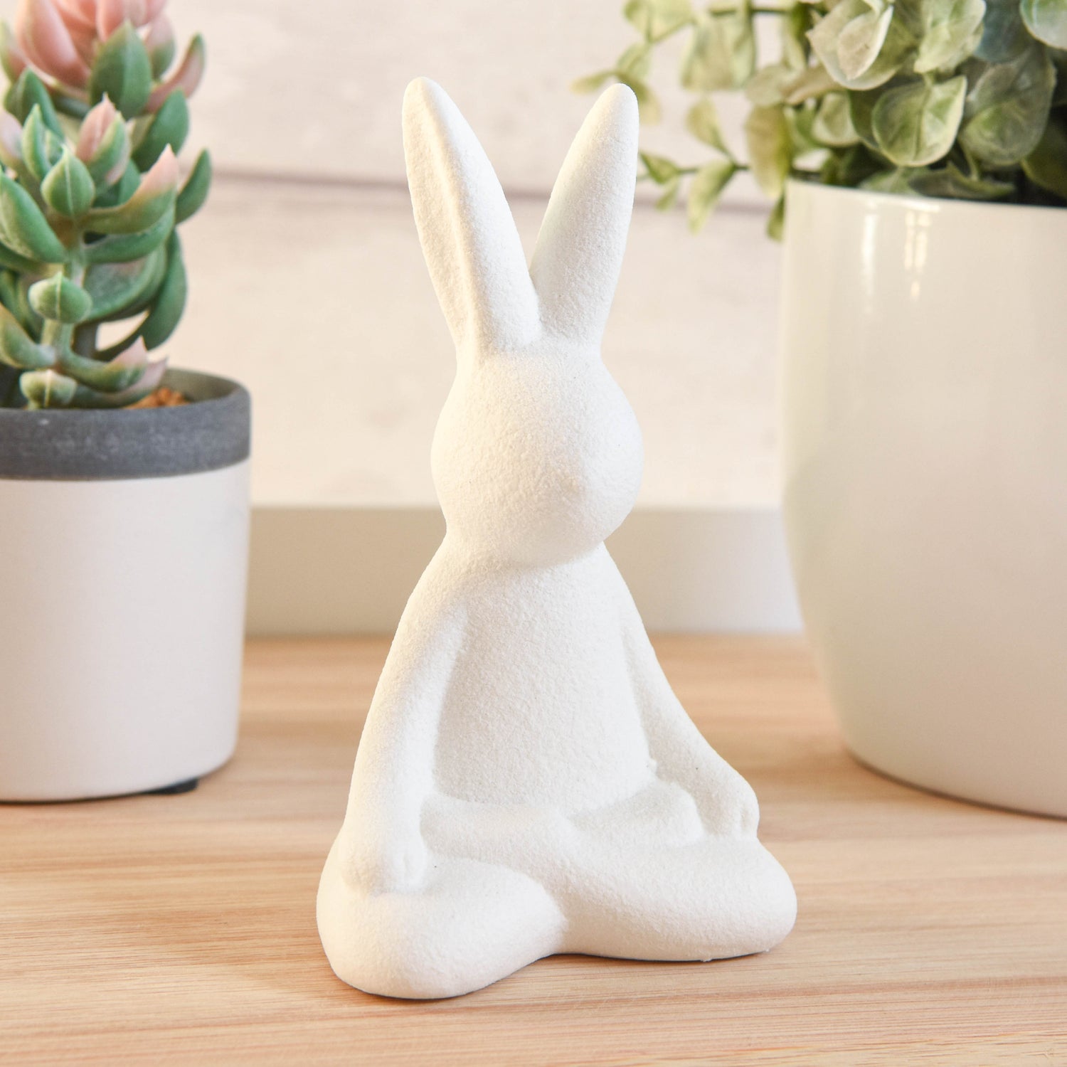 Matt White Yoga Rabbit