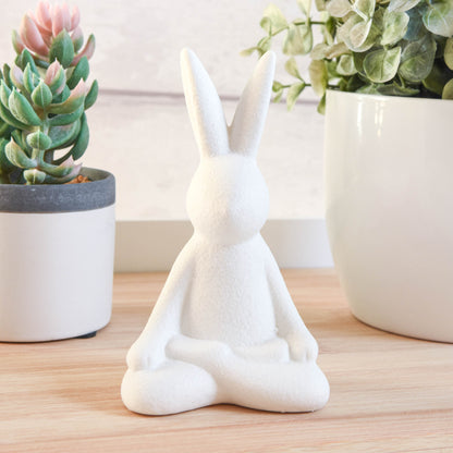 Matt White Yoga Rabbit