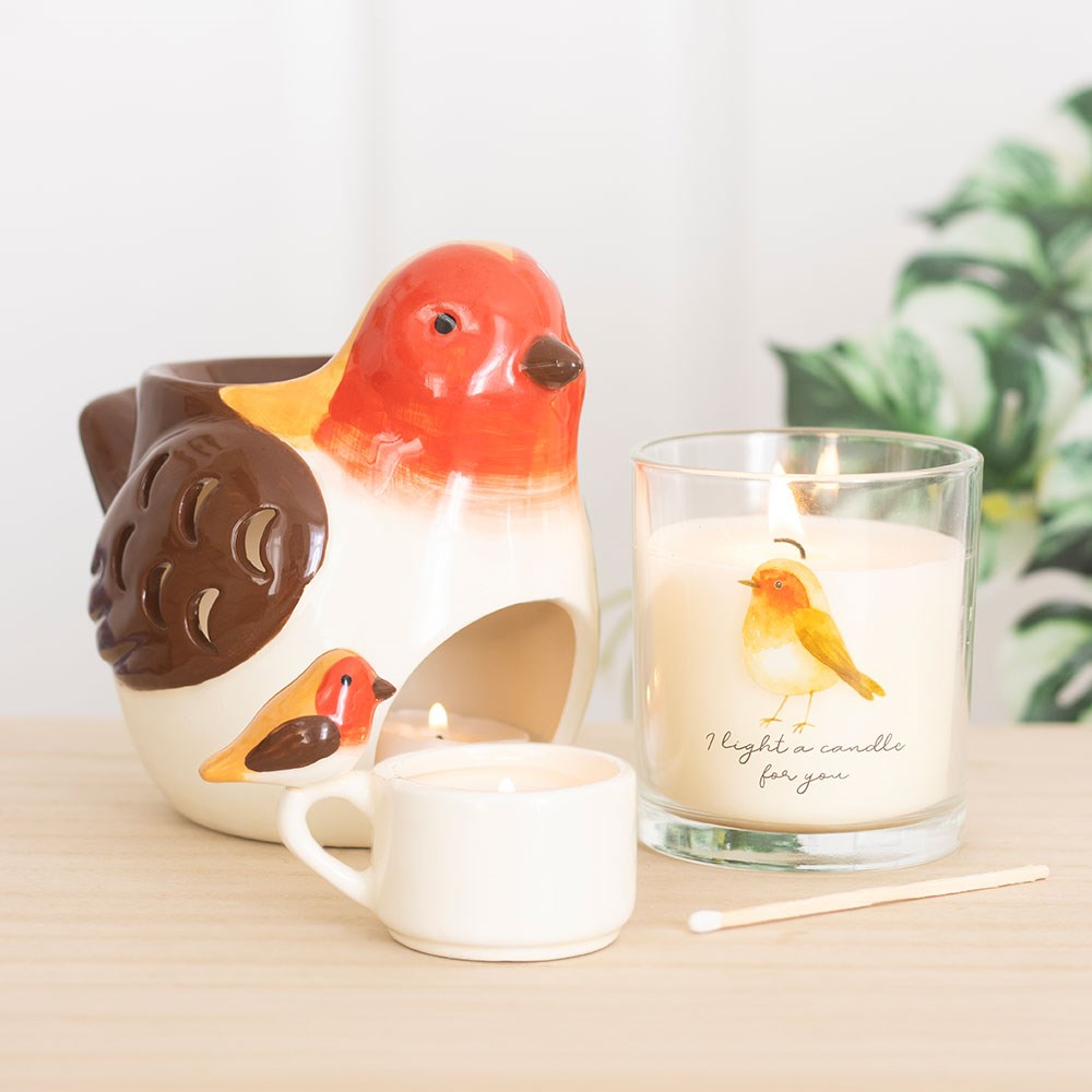 Robin Bird Bath Trinket Dish