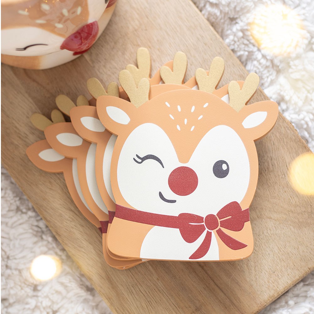 Ruby The Reindeer Coaster Set