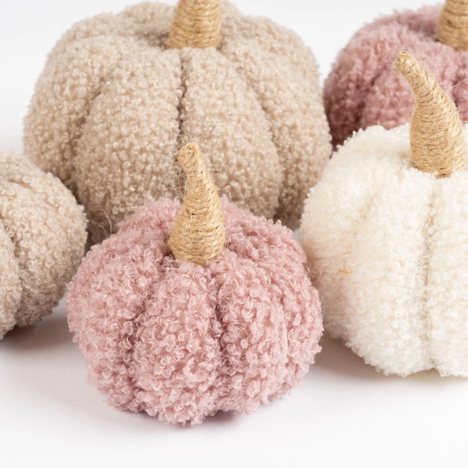 Set of 5 Pastel Boucle Pumpkins