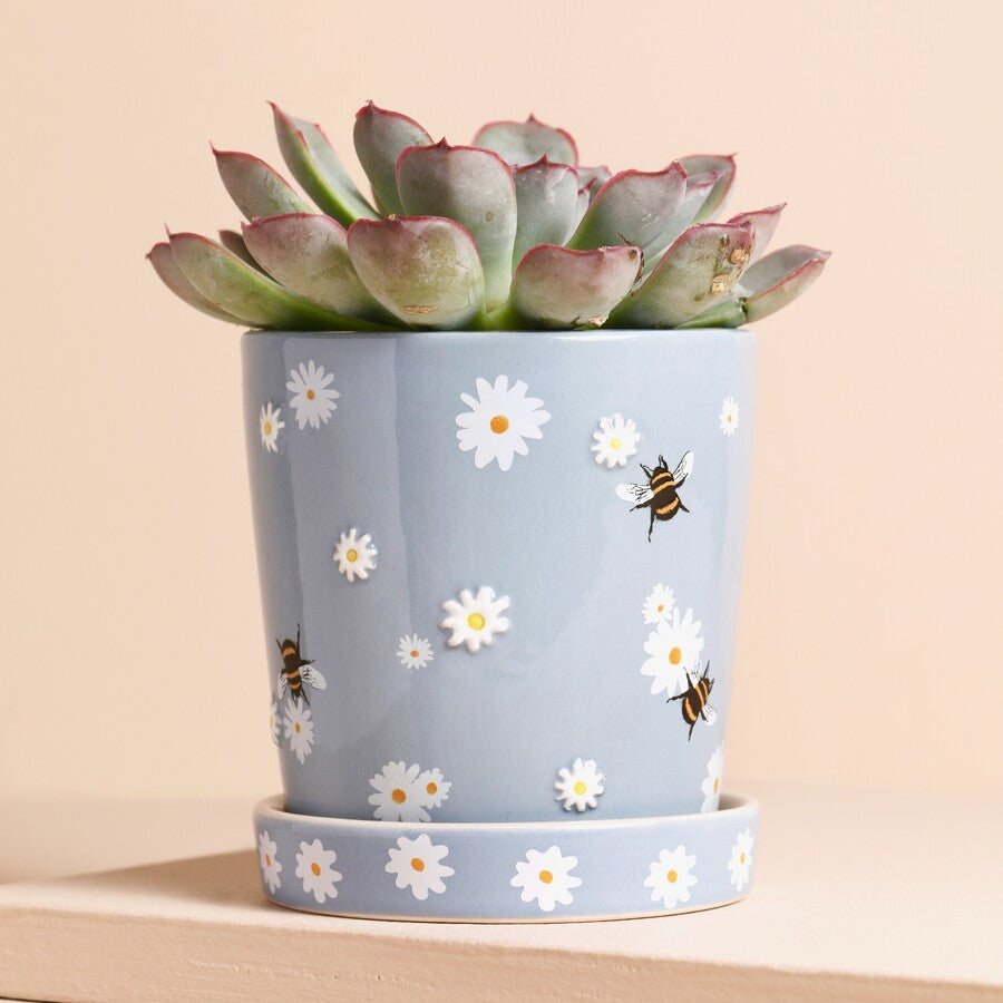 Blue Floral Bee Planter &amp; Tray