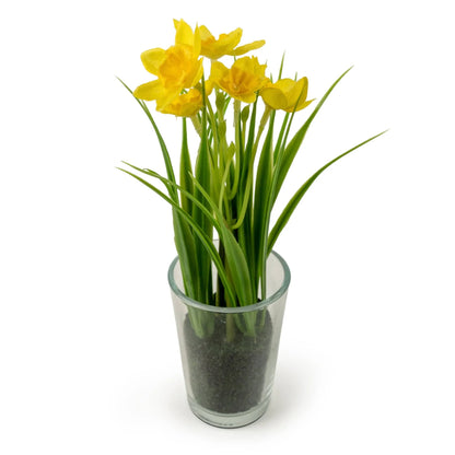 Artificial Daffodils in Glass Vase