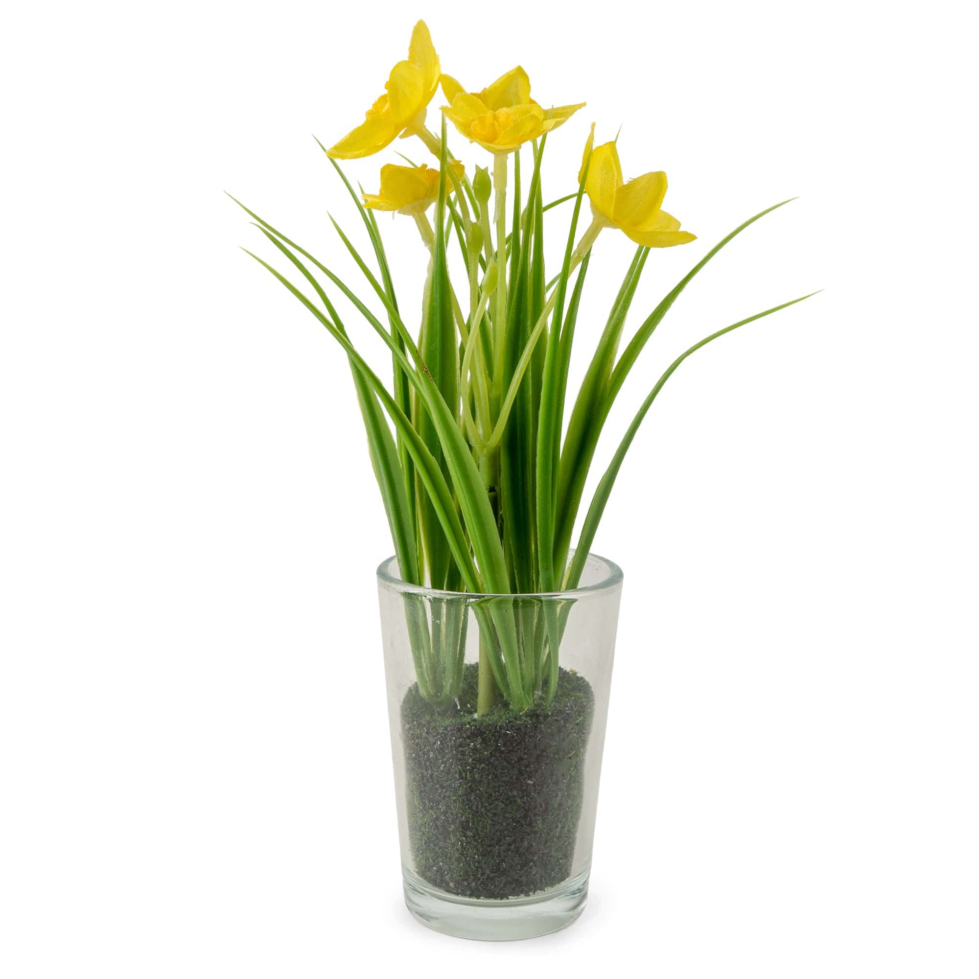 Artificial Daffodils in Glass Vase